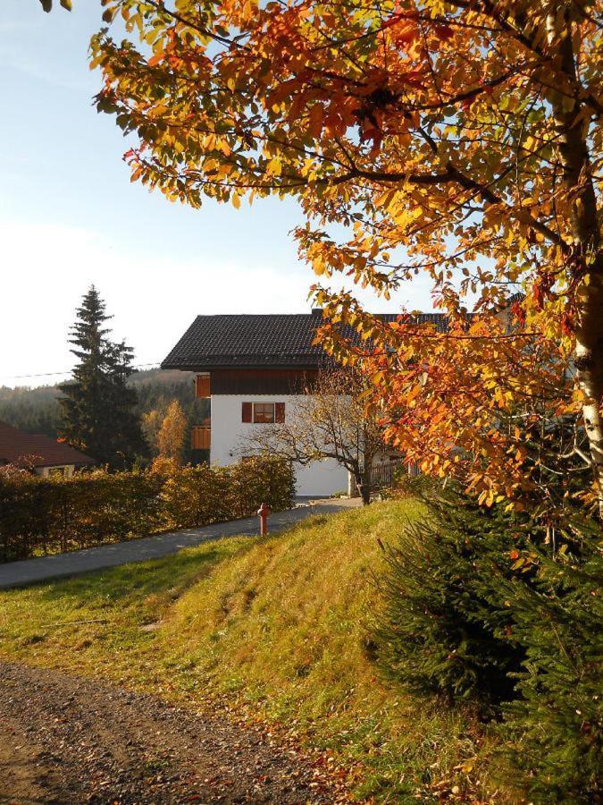 Ferienwohnung Piller Hohenau Esterno foto